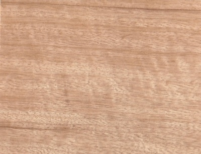 Raw Korina wood